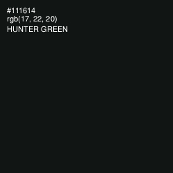 #111614 - Hunter Green Color Image